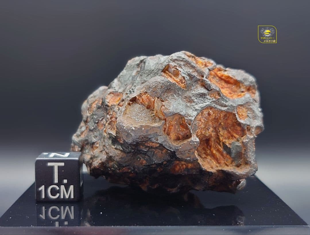 隕石 イミラック パラサイト 126.4g Imilac ⭐⭐⭐