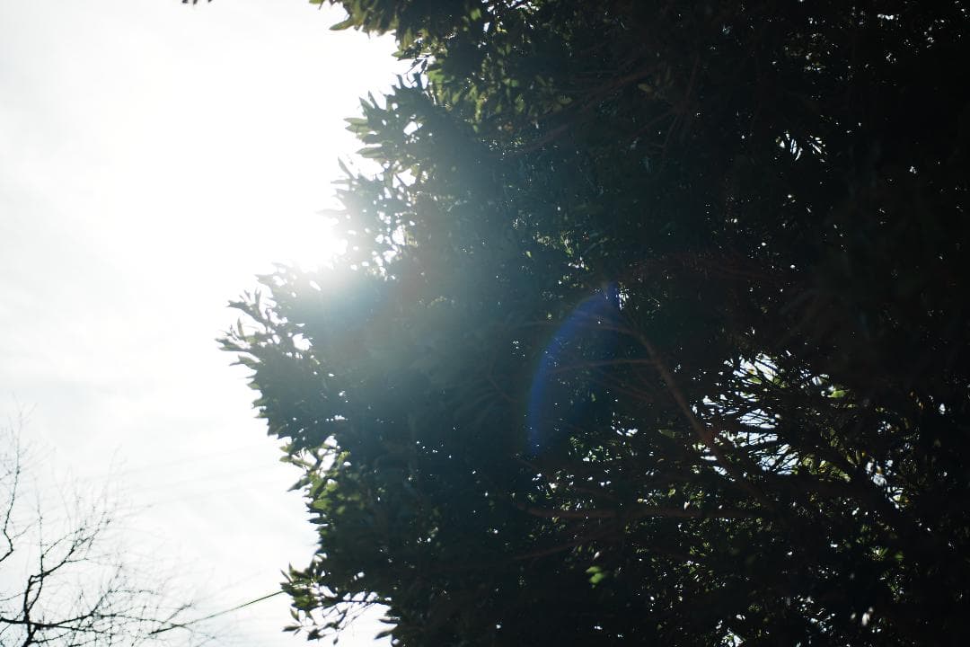 極美品・箱 AF Ai Micor-Nikkor 60mm F2.8D 692