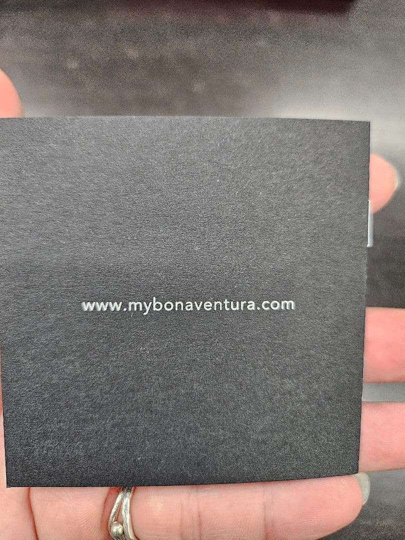 ╰*C様 BONAVENTURA 手帳型 iPhoneケース 8月末まで出品