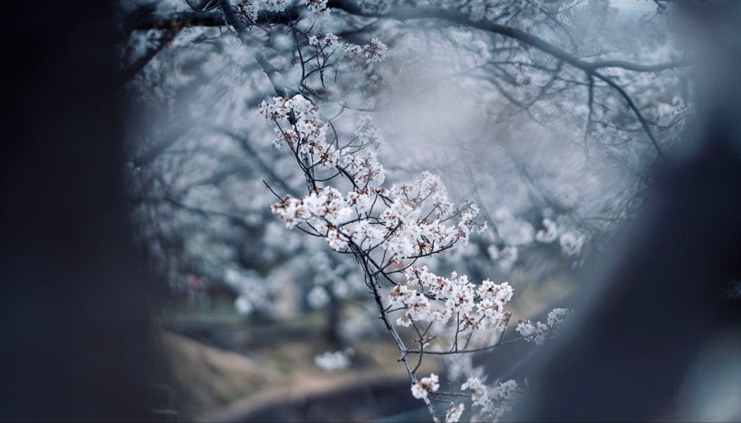 VILTROX AF 135mm F1.8 LAB ソニー　Eマウント