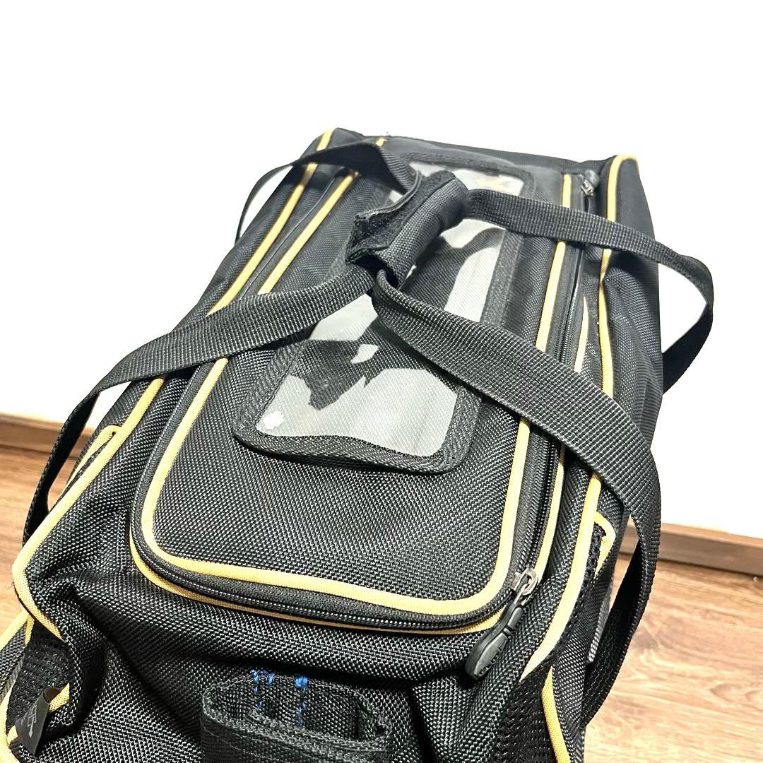 希少 ABS ボウリング バッグ キャリー 2ボール ボーリング キャリーバッグ