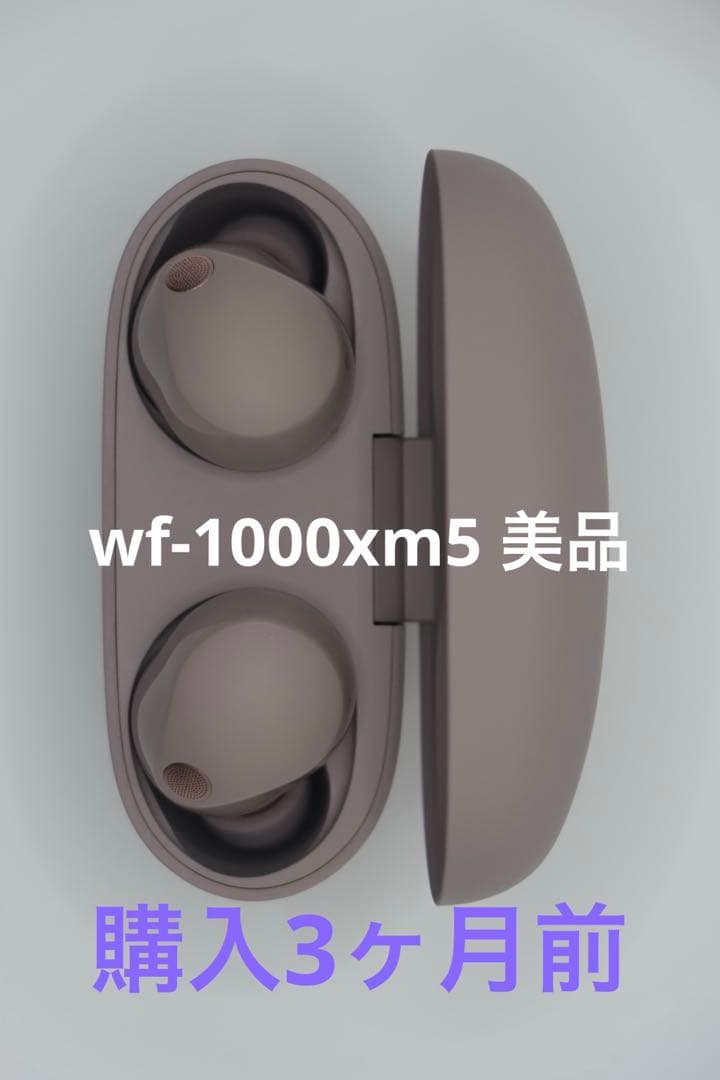 SONY WF-1000xm5 美品　スモーキーピンク