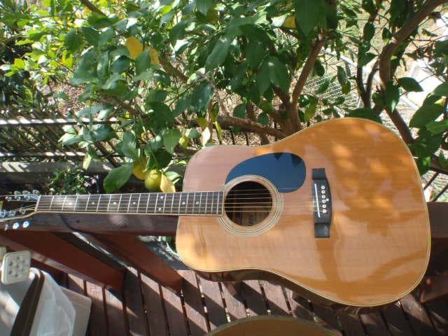 Greco F200 グレコギター　よく鳴る　程度　普通