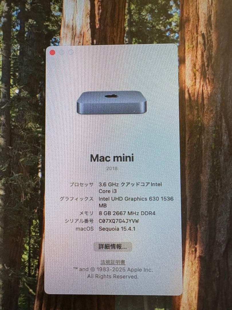 Macデスクトップ Mac mini 2018 (i3/8GB/128GB)