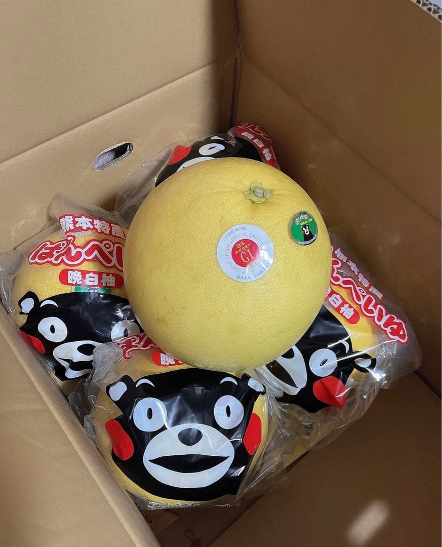 晩白柚　5玉セット。1玉　1,5~2kg