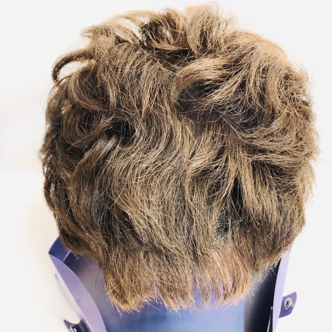 FONTAINE　フォンテーヌ　ウィッグ　ショート　ブラウン　「4620」