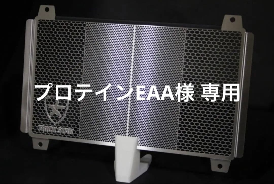 TRICK STAR トリックスター ラジエターコアガード