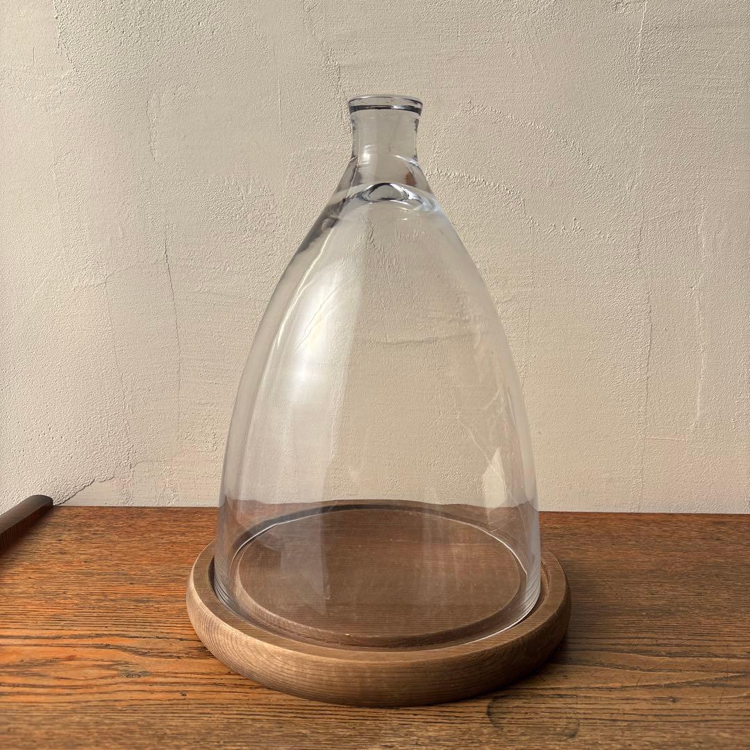 ダルトン ガラスドーム ガラスクローシュ 木製台座 ディスプレイ インテリア