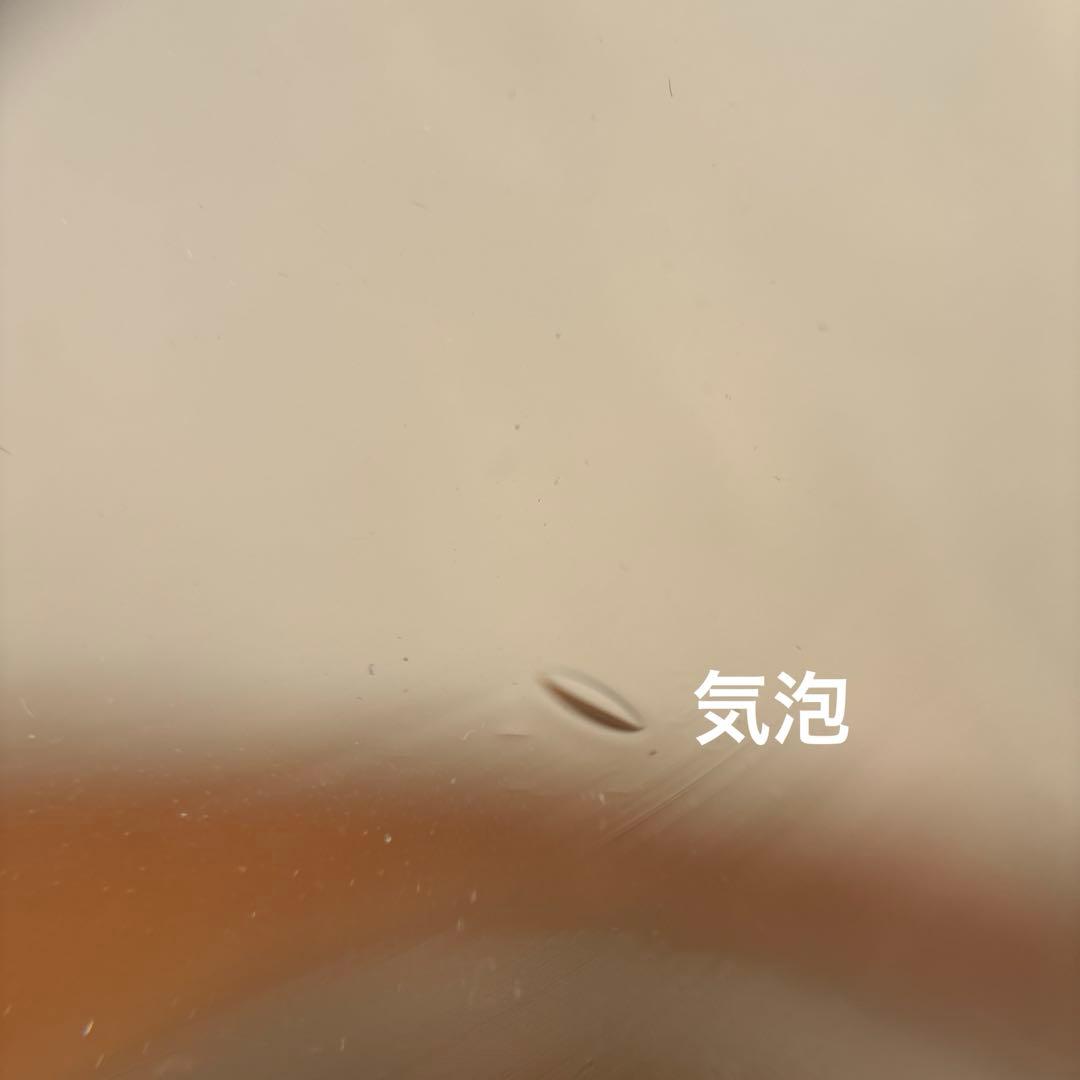 ダルトン ガラスドーム ガラスクローシュ 木製台座 ディスプレイ インテリア