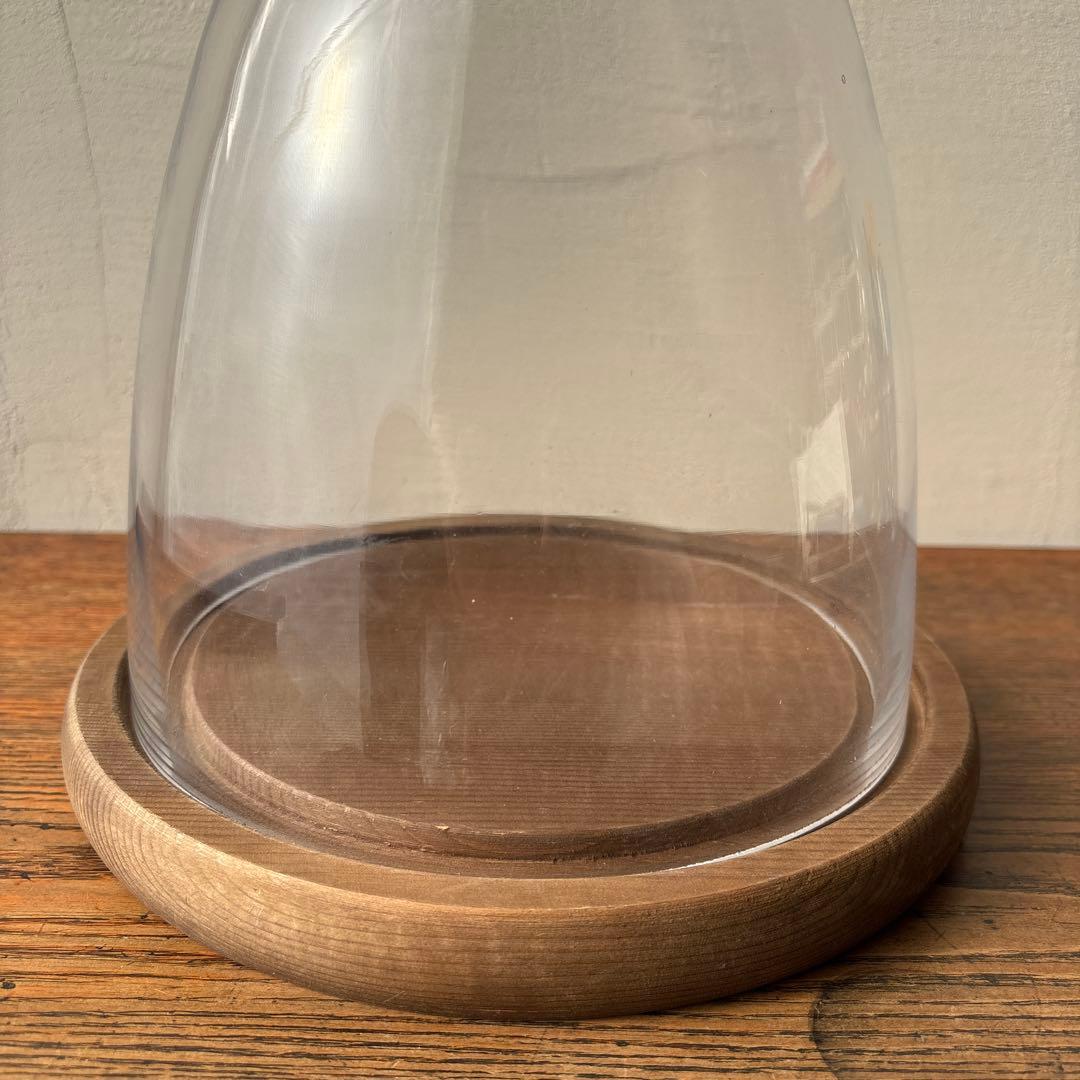 ダルトン ガラスドーム ガラスクローシュ 木製台座 ディスプレイ インテリア