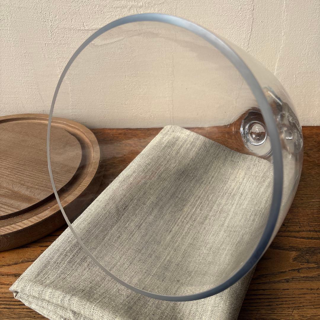 ダルトン ガラスドーム ガラスクローシュ 木製台座 ディスプレイ インテリア