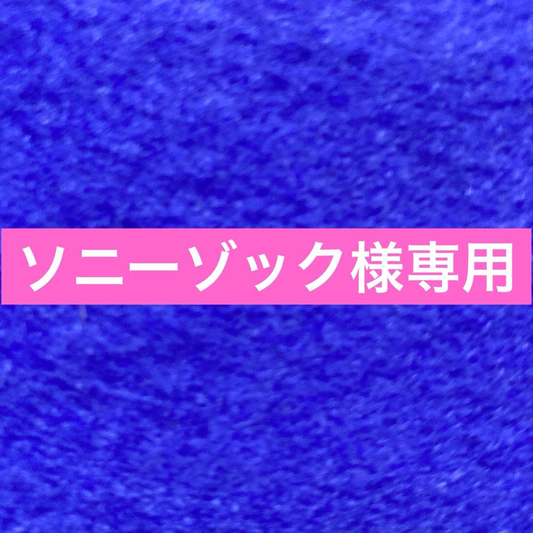 コラージュリペア８本