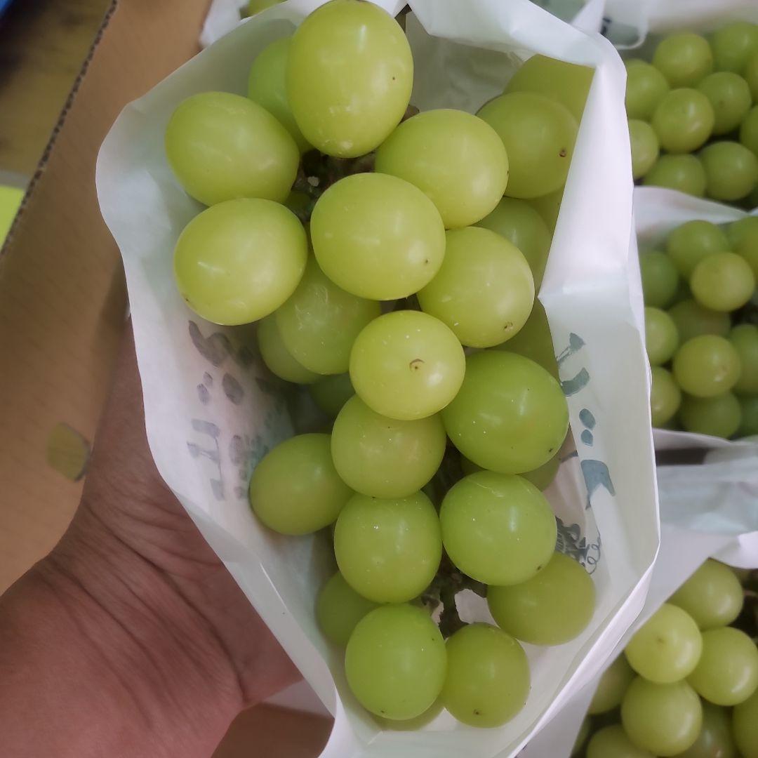 1⃣1⃣ 山梨県産 シャインマスカット ８房入り 箱込み4.4キロ