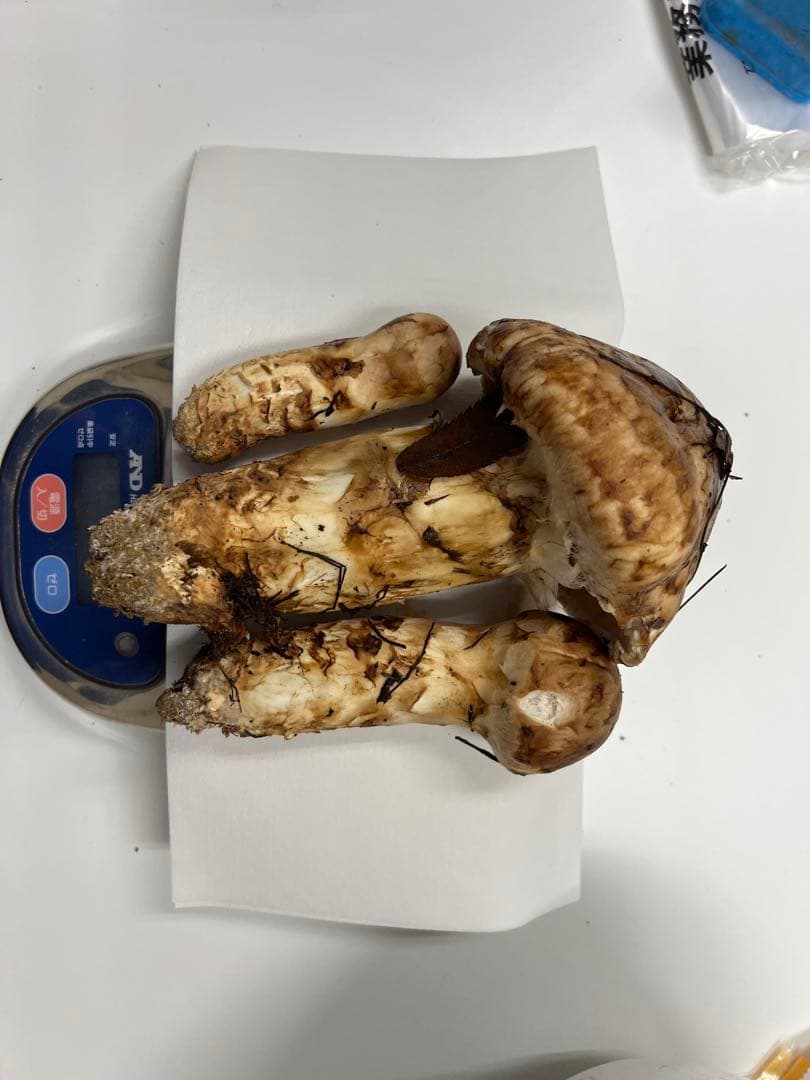 山形県産　松茸　380g