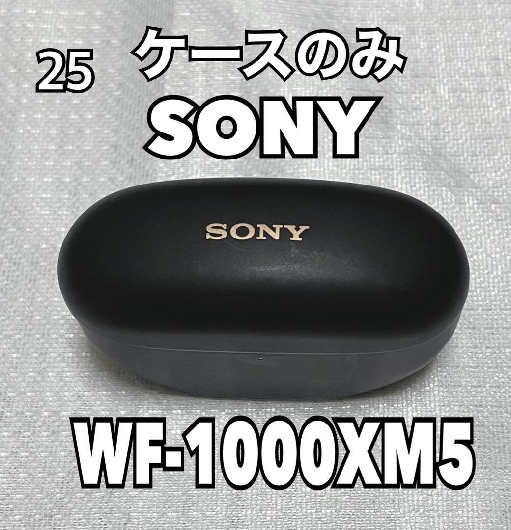 SONY WF-1000XM5 専用ケース ブラック