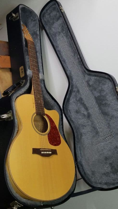 Seagull エレアコ ギター ハードケース入り