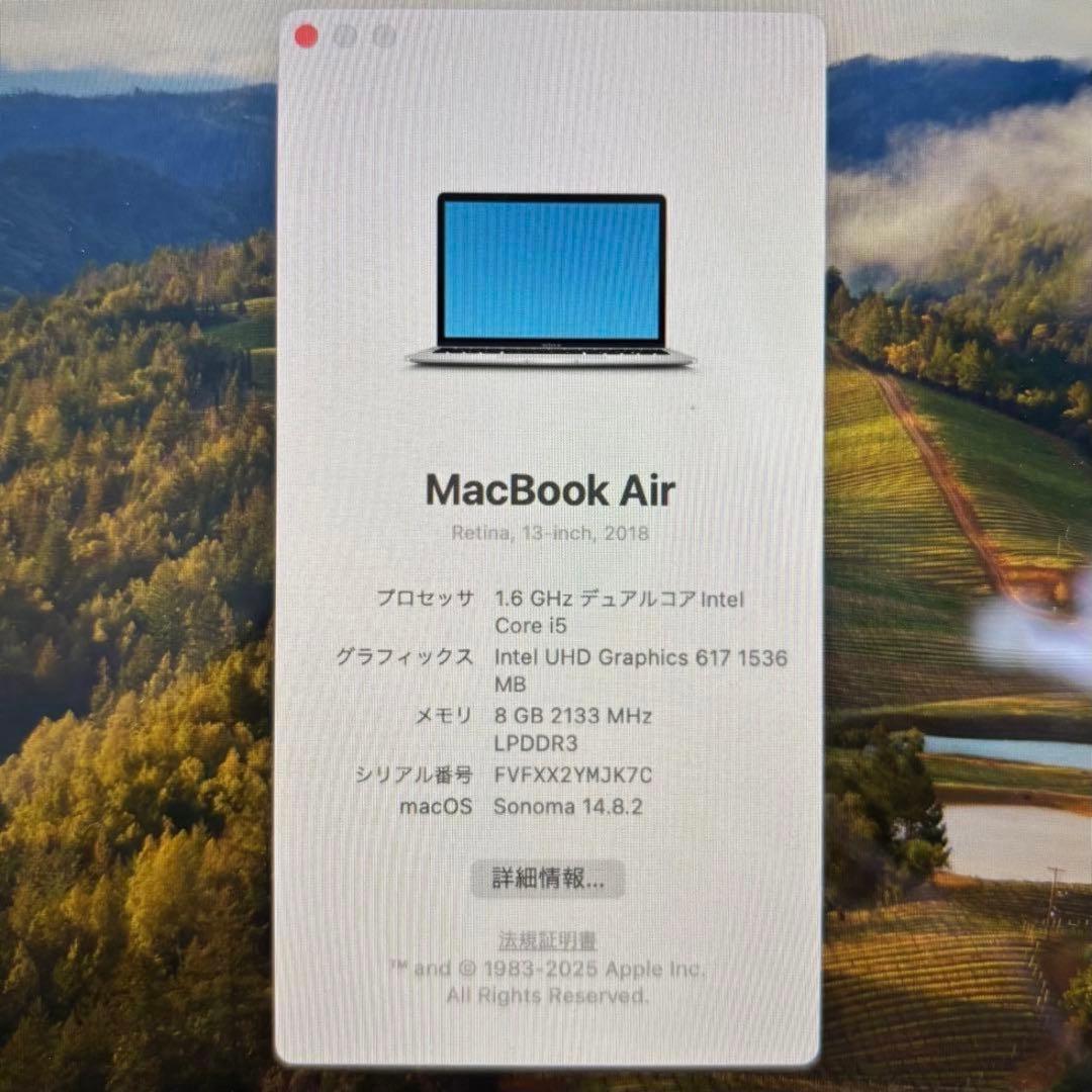 【美品】Apple MacBook Air 2018 13.3 inch