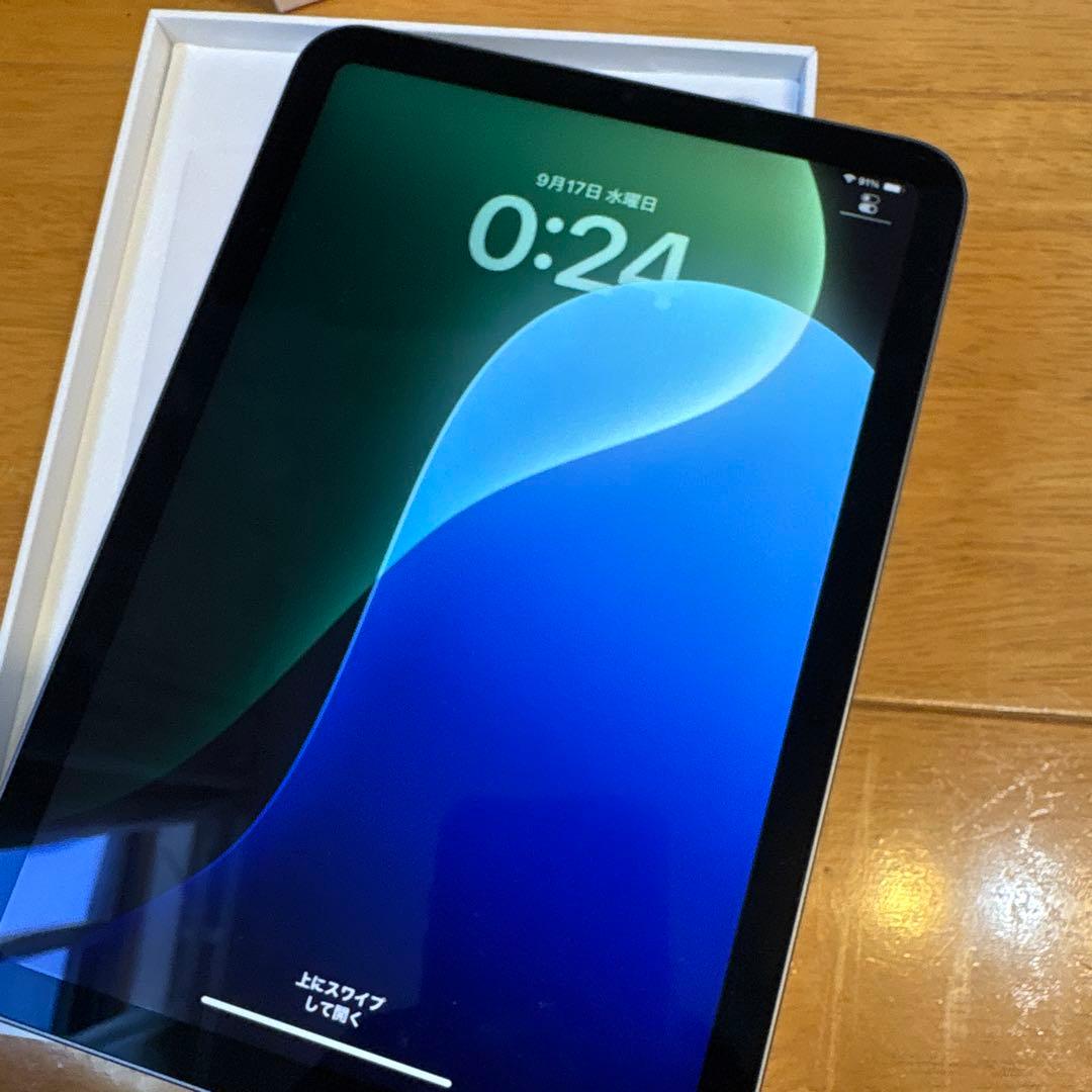【バッテリー100%】iPad mini (第6世代) 256GB Wi-Fi