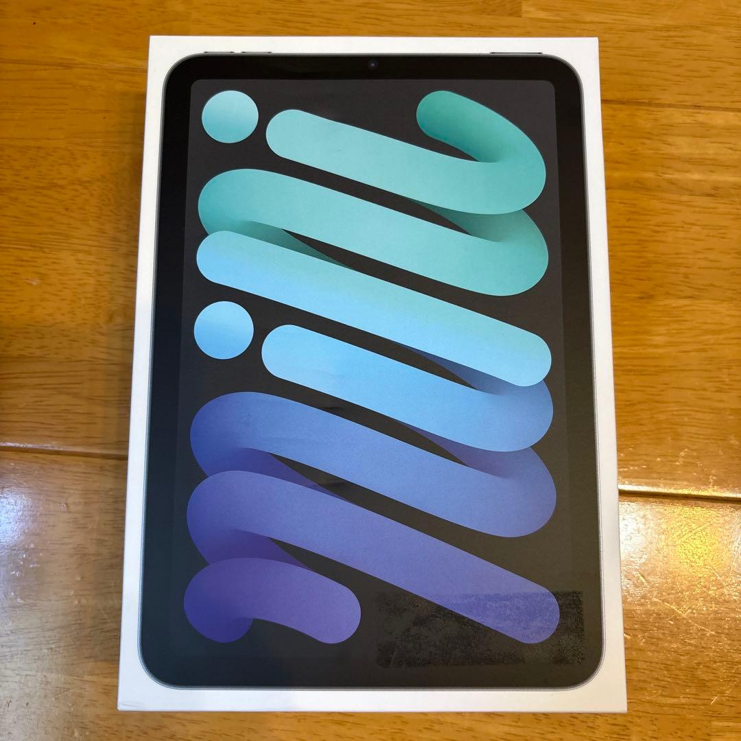 【バッテリー100%】iPad mini (第6世代) 256GB Wi-Fi