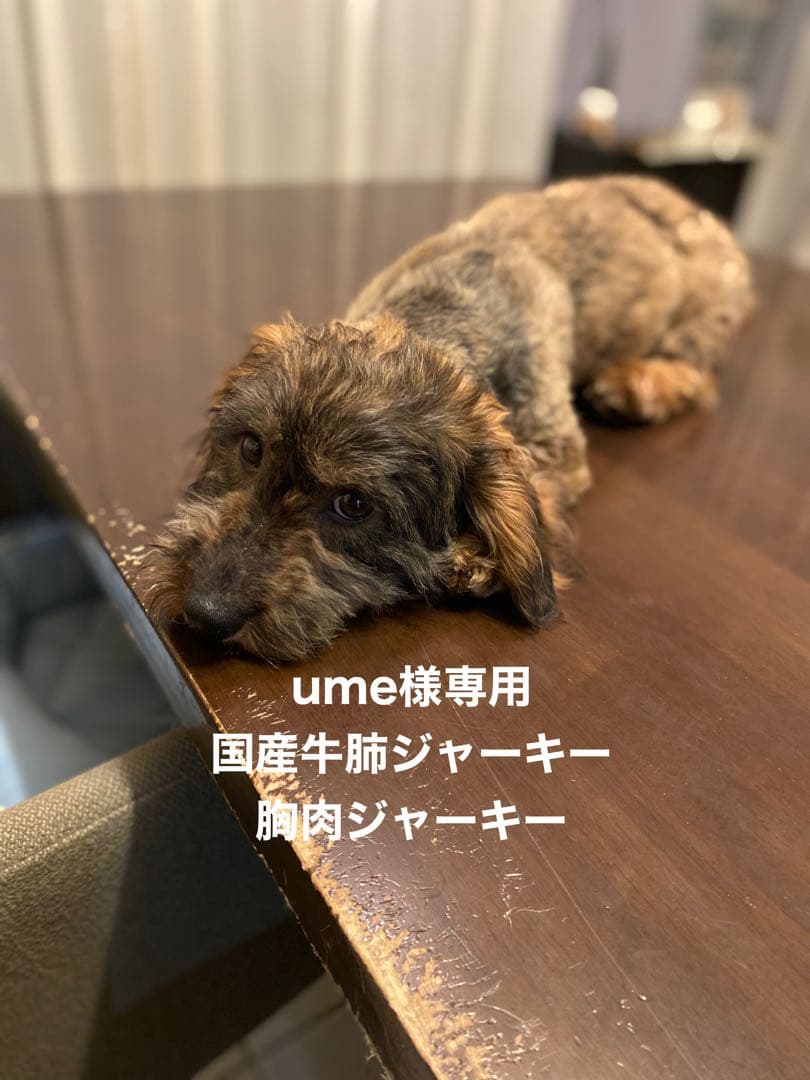 ume　国産牛肺　胸肉ジャーキー