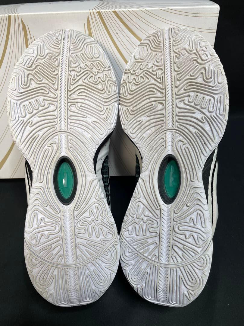 ナイキ レブロン 21 バッシュ 28cm 622