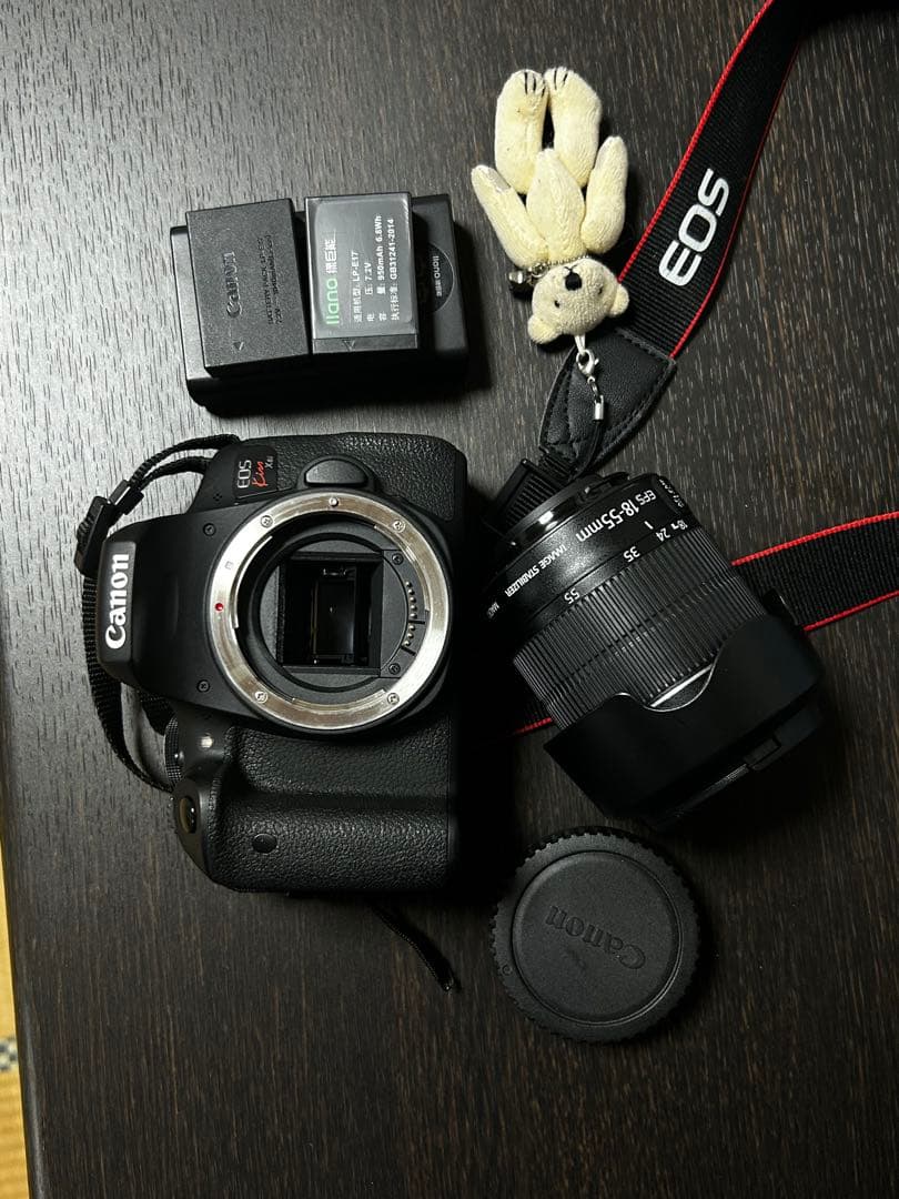 Canon EOS KissX8iEF-S18-55mmレンズショット数9396