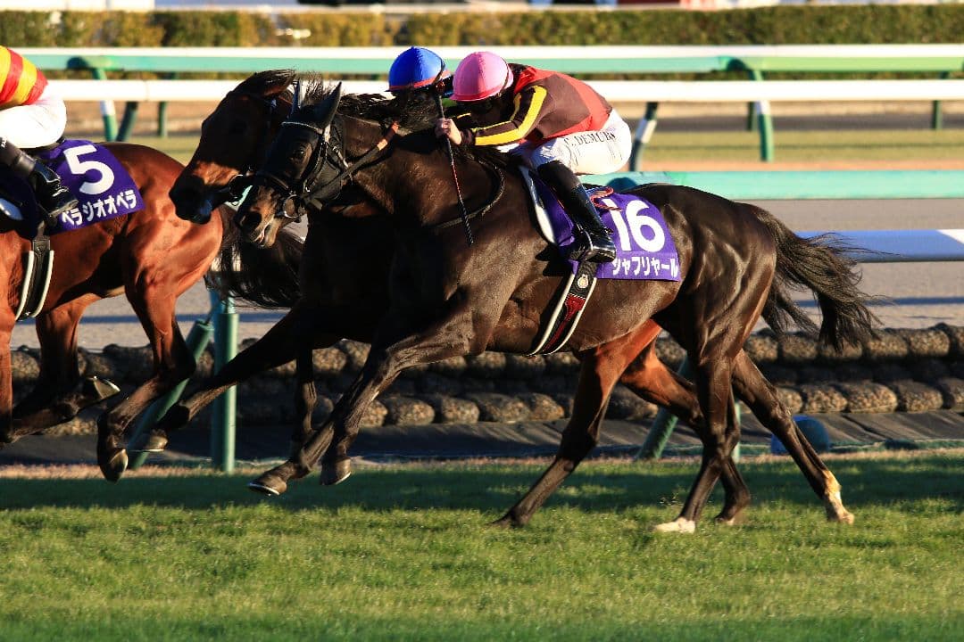 SIGMA APO 150-500mm F5-6.3 canon EFマウント