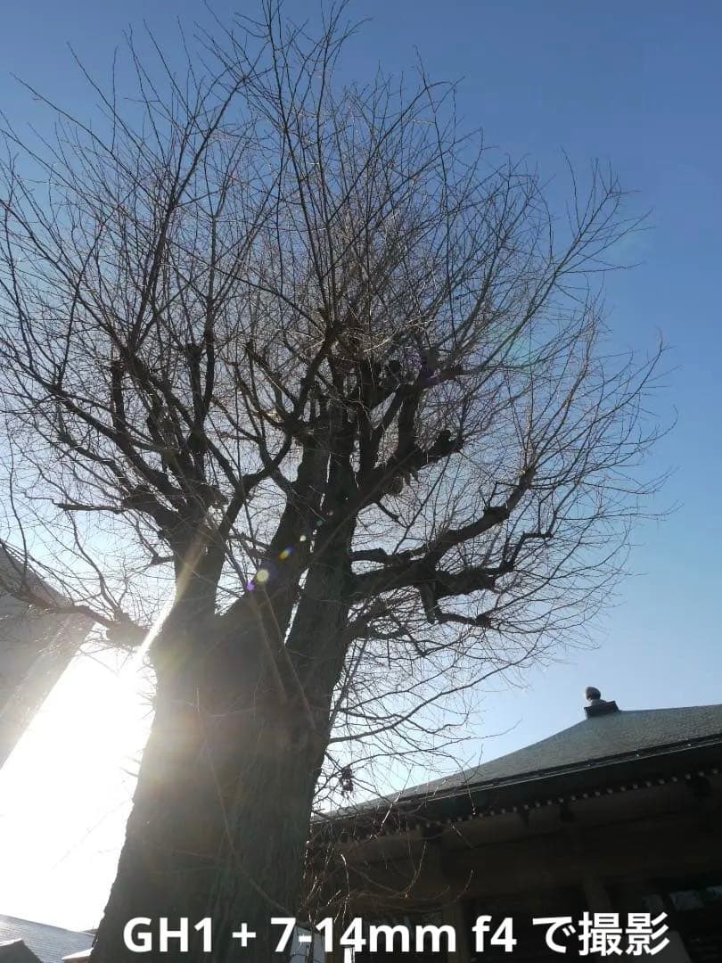 【極美品/光学クリア】LUMIX G VARIO 7-14mm F4.0