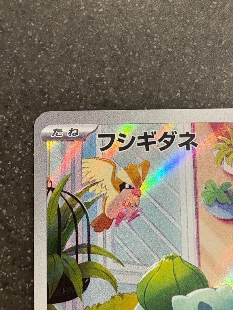 フシギダネ ヒトカゲ ゼニガメ スペシャルデッキセット プロモ 3枚セット