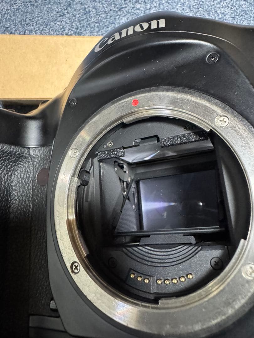 Canon EOS 1 v フィルム一眼レフカメラ