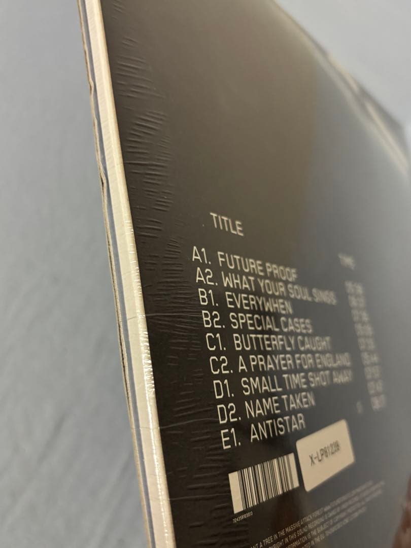 洋楽 MASSIVE ATTACK 100TH WINDOW Bristol