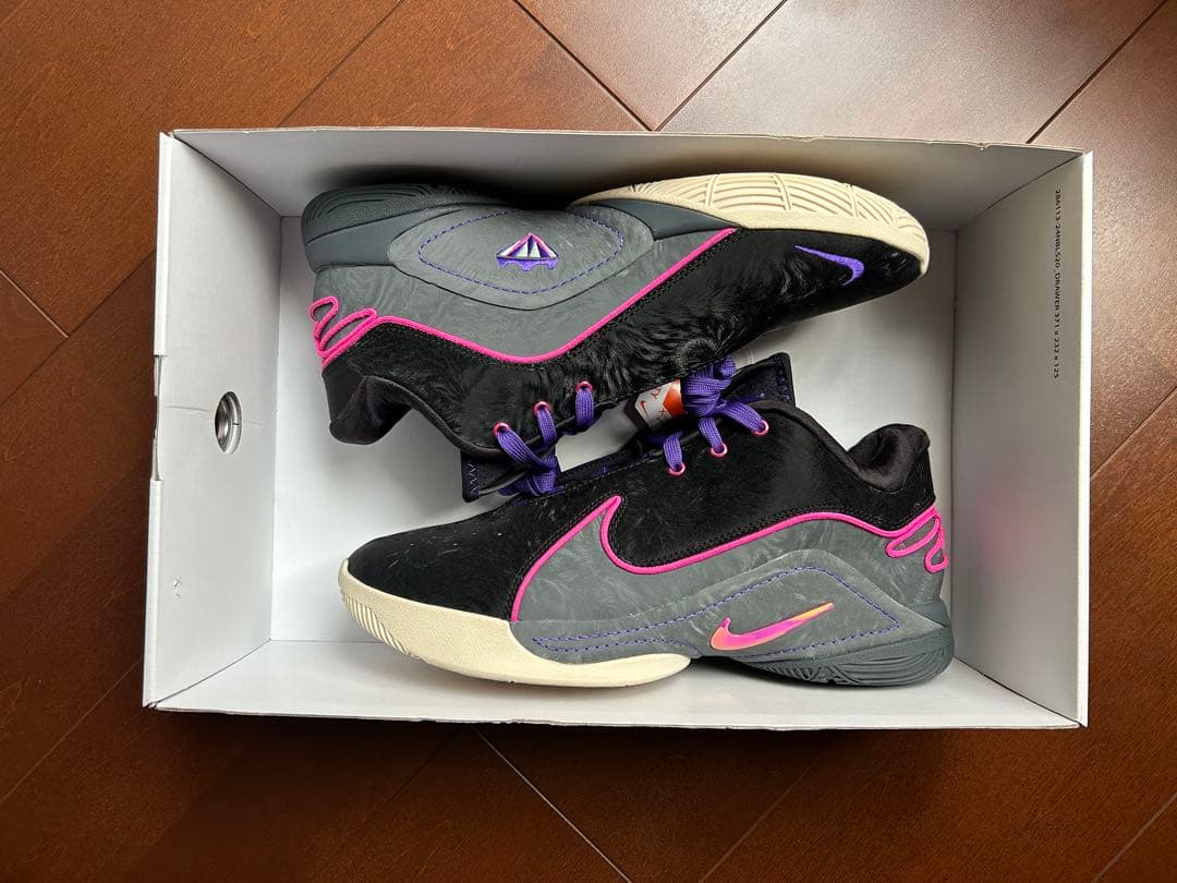 LeBron XXII \"Tunnel Vision\" レブロン22 ナイキ