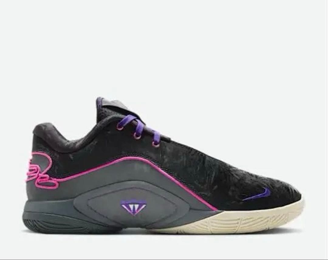 LeBron XXII \"Tunnel Vision\" レブロン22 ナイキ