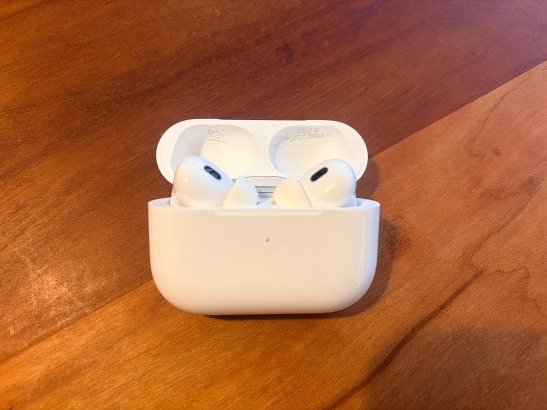 AirPods Pro2 (A2698) Lightning版 箱付 付属品完備