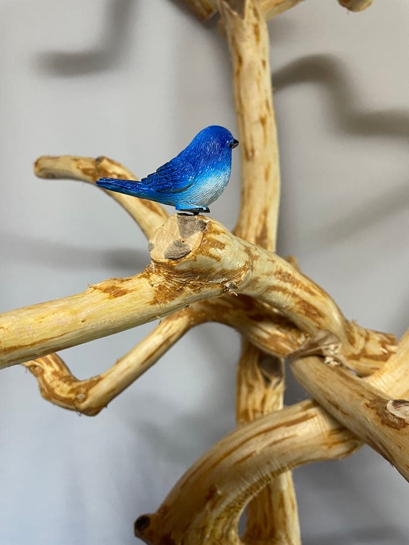 天然木白木バードジム