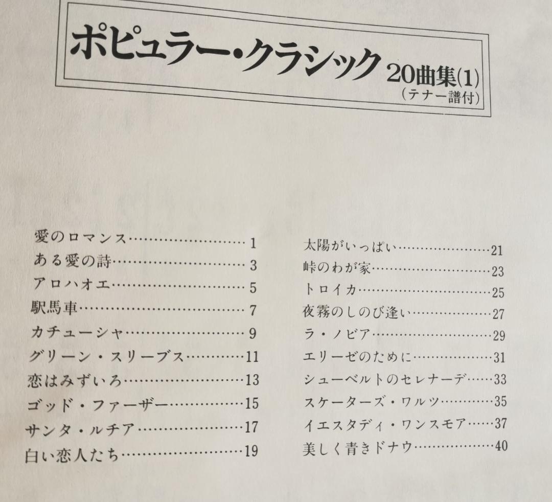 大正琴 琴伝流 テナー かえで ハードケース＋手作りケースカバー＋テナー楽譜付