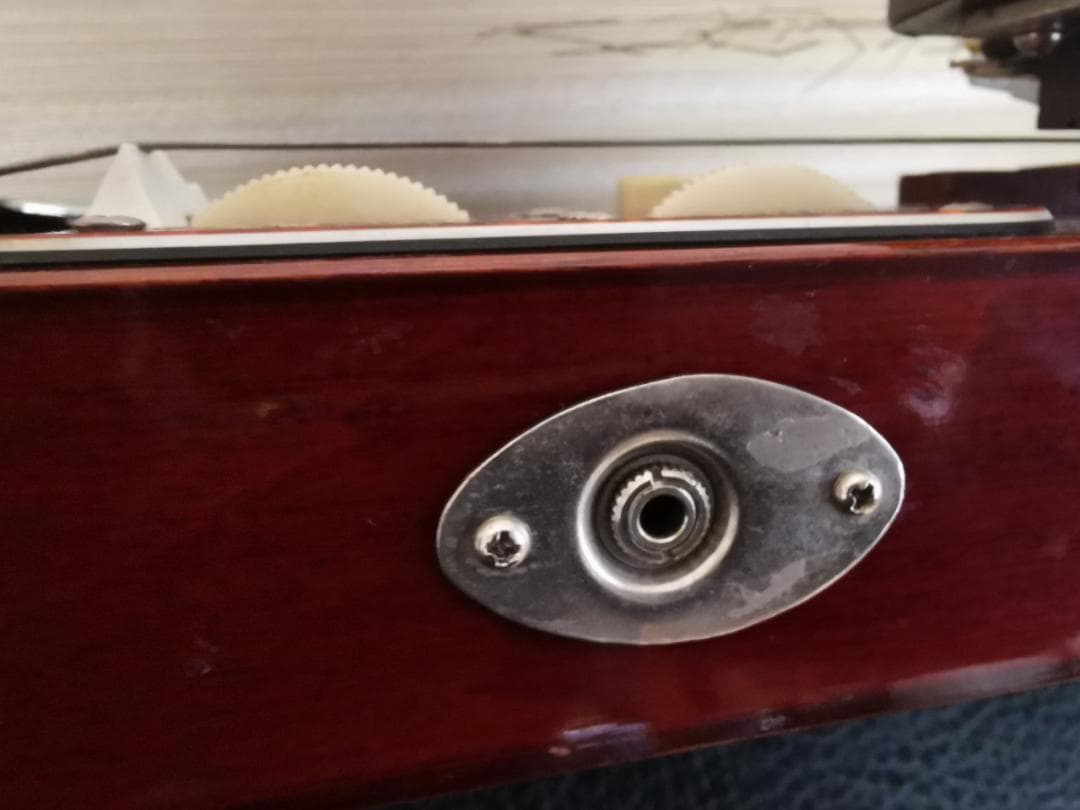 大正琴 琴伝流 テナー かえで ハードケース＋手作りケースカバー＋テナー楽譜付