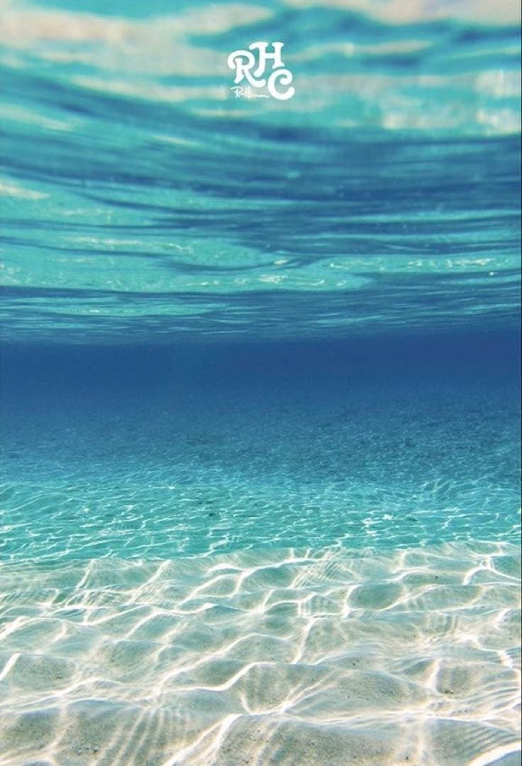 ✴︎極上✴︎カシミア＆ヤク ニットパーカーRon Herman California