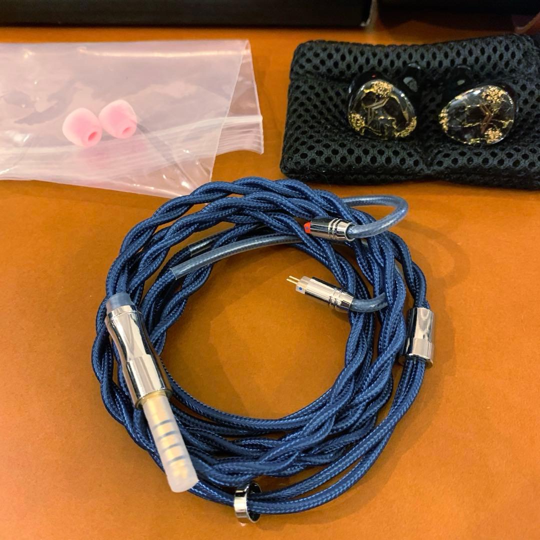 ほぼ新品 AuR Audio Aehta おまけでイヤピ多数 付属品完備