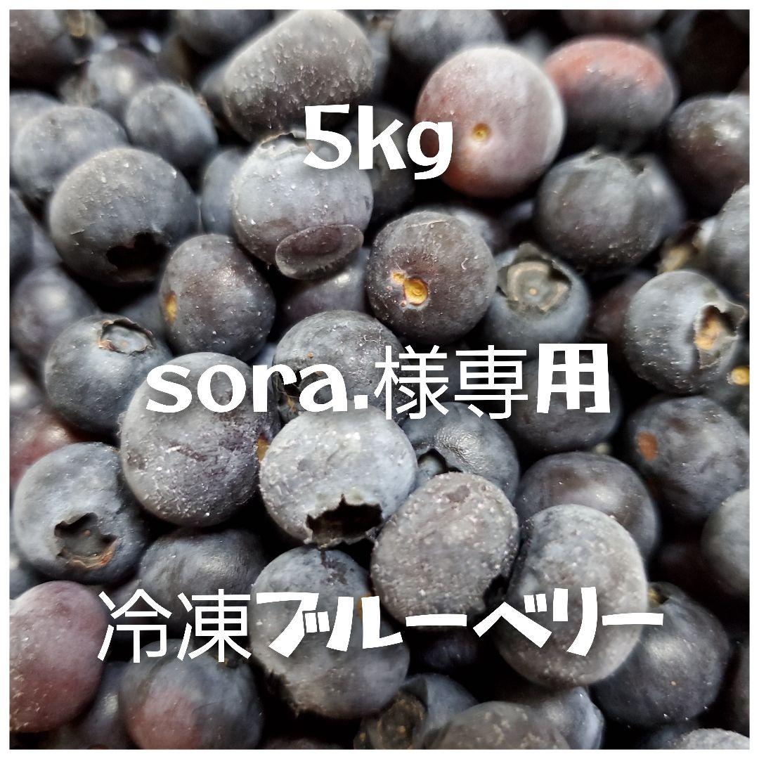 【sora.】冷凍ブルーベリー5kg