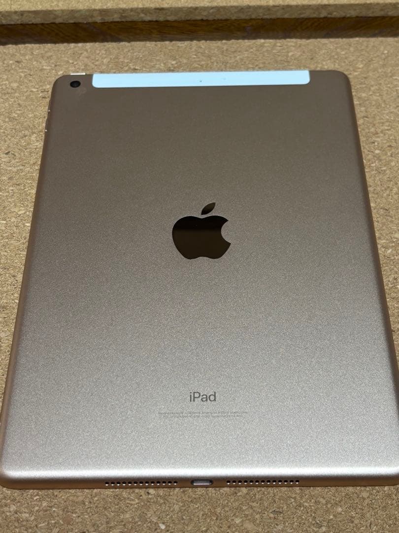 iPad（第6世代）本体 + Apple Pencil（第1世代）＋α セット