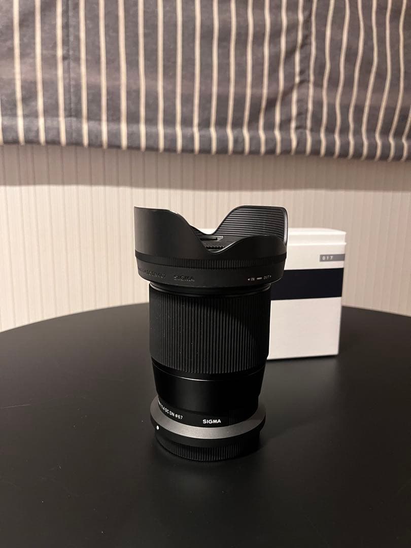 作画有　SIGMA 16mm F1.4 Zマウント