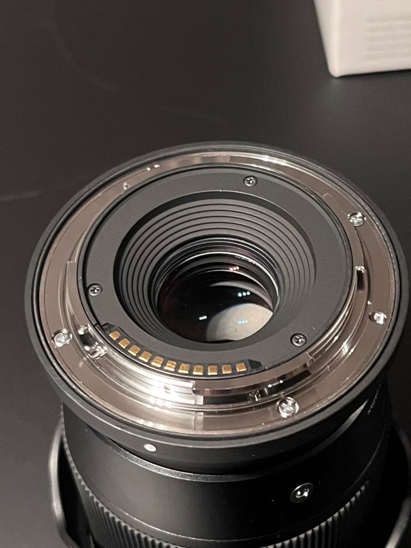 作画有　SIGMA 16mm F1.4 Zマウント