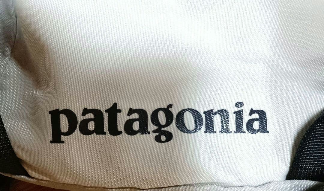 【廃盤品】patagonia パタゴニア スリングバッグ ワンショルダー y2k