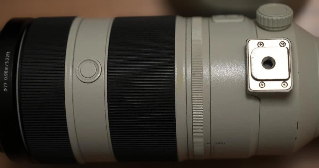 SONY FE 100-400mm F4.5-5.6 GM OSS 望遠レンズ