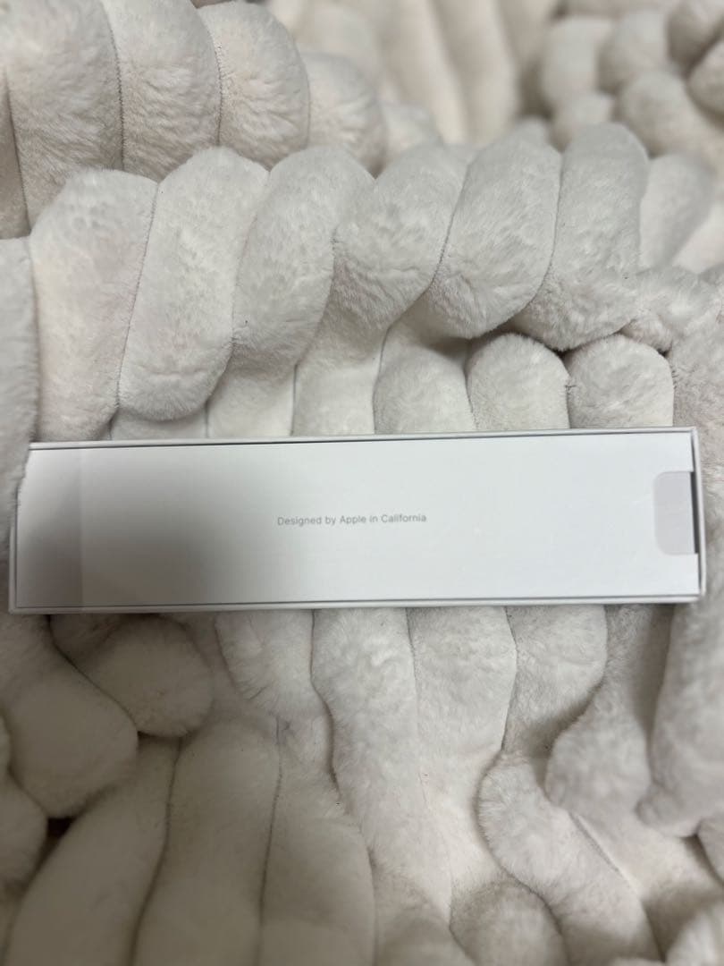 Apple Pencil 第2世代 新品未使用 正規品