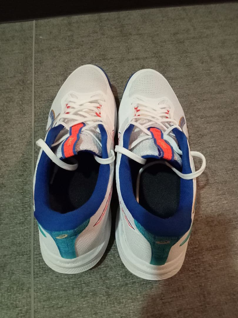 シューズ ASICS NETBURNER BALLISTIC FF 4 28.5cm