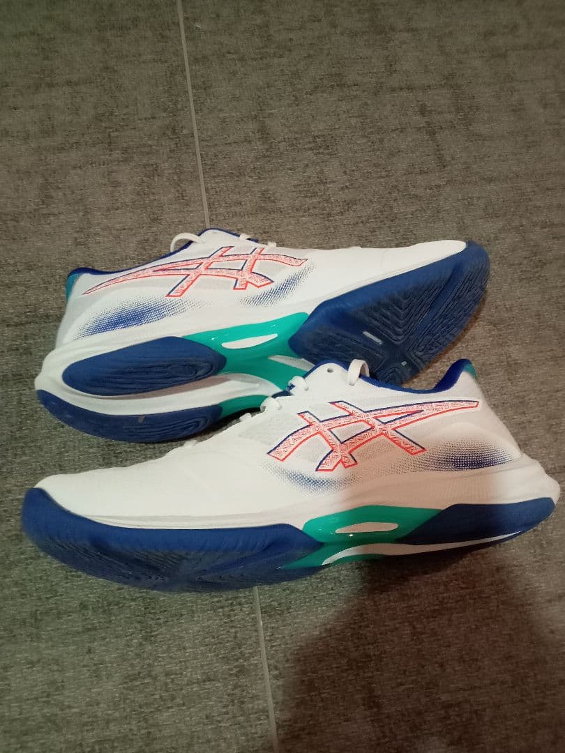 シューズ ASICS NETBURNER BALLISTIC FF 4 28.5cm