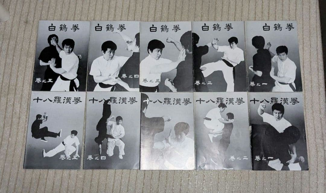 中国拳法大講座　全27冊　形意拳道　4冊　人体急所図