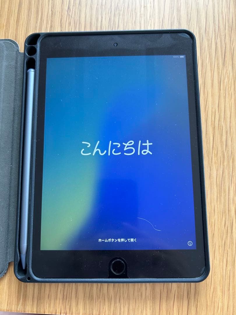 masa 様　iPad mini5 第5世代　64GB バッテリー最大容量91%